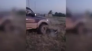 Наезд на лошадь в Алматинской области: подозреваемый не понесет ответственность