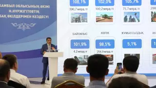 В Жамбылской области до 2025 года планируется реализовать 1154 проекта