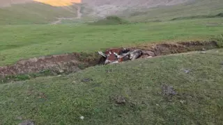 Трупы животных на плато Ассы-Тургень: скотомогильник уничтожен