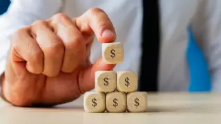 Директора сети финансовой пирамиды Finiko задержали в России