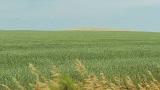 Массовый возврат неиспользуемых сельхозземель продолжается - правительство