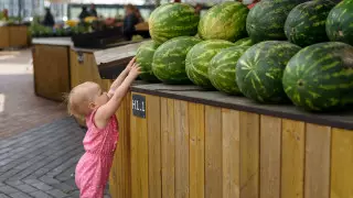 Врач-эндокринолог рассказала, как выбрать спелый арбуз