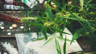 Рекордную партию наркотиков изъяли в Гондурасе