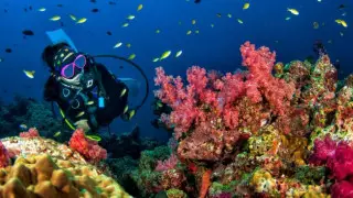 Мужчина занимался дайвингом и нашел бриллиант стоимостью 100 тысяч долларов