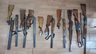 Браконьеры получили миллионные штрафы за охоту на кабанов в заповеднике Костанайской области