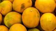 Врач рассказал, кому нельзя есть дыню