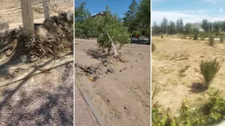 "Город заливают бетоном и камнем, мы сваримся!" Что волнует жителя Конаева