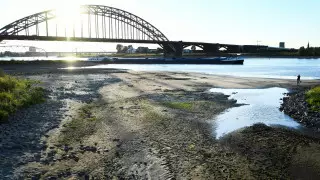 Германии предсказали проблемы из-за пересохшего Рейна