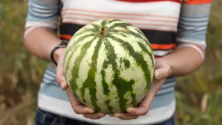 Может ли арбуз заменить прием пищи, ответила врач