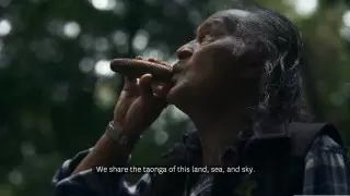 Красочное видео сняли для привлечения путешественников в Новую Зеландию