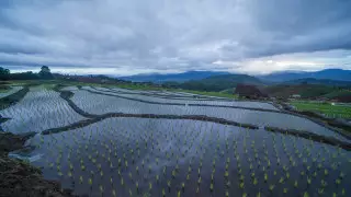 Искусственные дожди для борьбы с сильной засухой вызывают в Китае