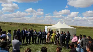 Amanat вернула в госсобственность 60 тысяч гектаров в Акмолинской области