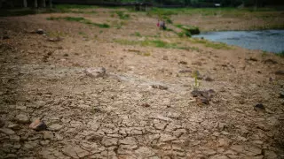 Китаю грозит новый климатический хаос - СМИ