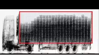 По документам арбузы, а форма овальная: дыню контрабандой хотели ввезти в Казахстан