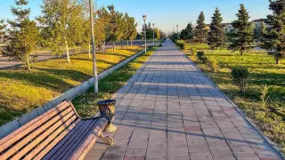 Изуродованного котенка обнаружили прохожие в Талдыкоргане