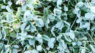 Заморозки и жара до 39 градусов: прогноз погоды на 3 дня в Казахстане