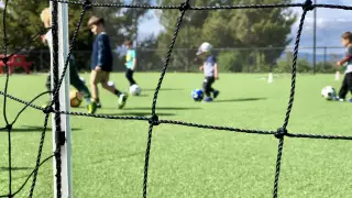 Когда прекратят финансирование программы Artsport в Алматы