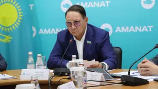 Amanat: Несвоевременные меры госорганов привели к дефициту ГСМ в стране