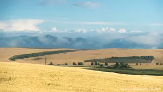 Токаев поручил принять меры в отношении неосвоенных или незаконно предоставленных земель