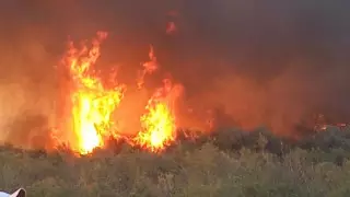 В Туркестанской области потушили крупный степной пожар