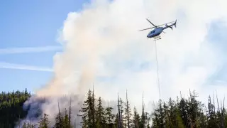 Площадь лесных пожаров выросла вдвое в Германии