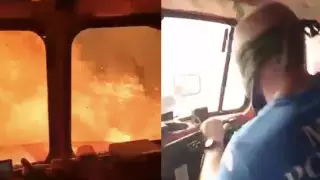 Жанып жатқан орманға көлігімен кіріп кеткен өртсөндірушілердің видеосы қайда түсірілген?