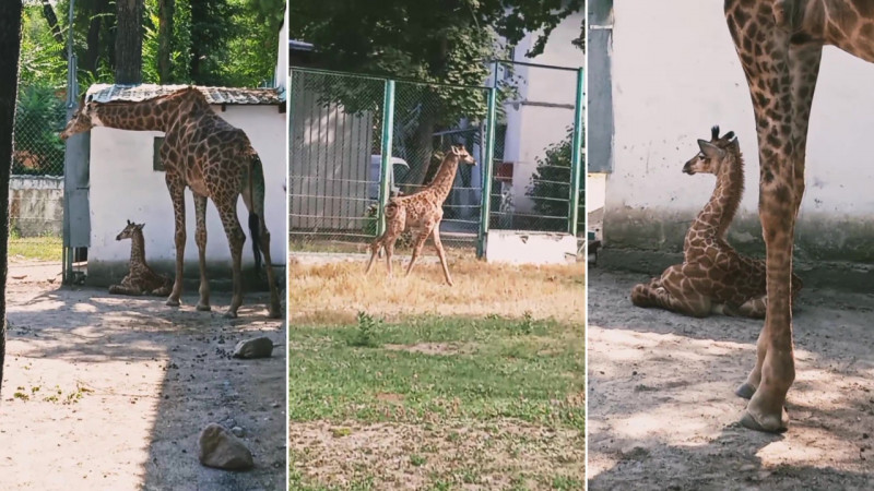 Кадры из видео