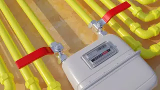 В Польше пожаловались на "лавину отчаянных сообщений" из-за стоимости газа