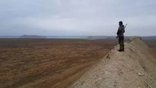 Редкого хищника засняли на плато Устюрт