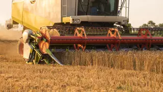 Повлияли ли пожары на сбор урожая в Казахстане, ответил Минсельхоз