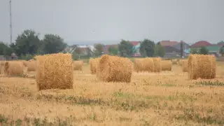 Нормы Земельного кодекса превратились в инструменты обогащения - сенатор