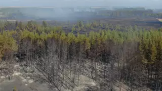 Как смог от пожаров влияет на здоровье, рассказали врачи