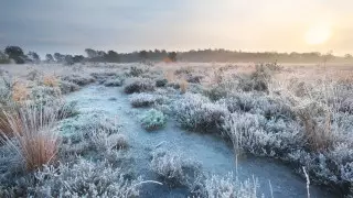 Мокрый снег и заморозки: погода на 3 дня в Казахстане