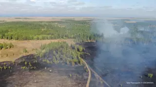 Глава МЧС высказался о причинах природных пожаров в Казахстане