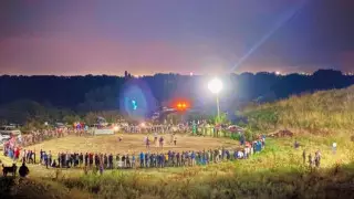 Организатора собачьих боев привлекли к ответственности в Жетысуской области