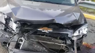 Двойное ДТП из-за лося произошло в Акмолинской области