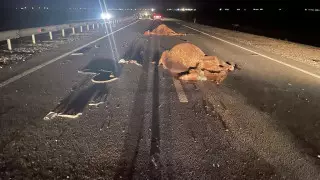 2 человека погибли в ДТП с верблюдами в Мангистауской области