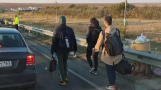 "Живем в степи, работы нет". Как про переезд в Казахстан шутят в соцсетях