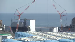 Микронезия осудила план Японии спустить воду с "Фукусимы" в Тихий океан