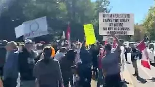 Родители школьников вышли на митинг из-за учителя-трансгендера в Канаде