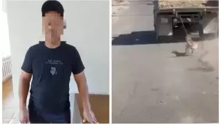 Задержанный в Талгаре водитель объяснил, как собака оказалась привязанной к его КамАЗу