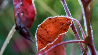 Какой будет погода в Казахстане в октябре