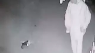 Прыгнул на голову котенка: суд в Мангистау объяснил приговор