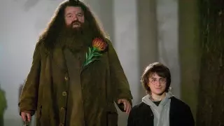 Умер известный ролью Хагрида в "Гарри Поттере" актер Робби Колтрейн