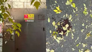 Павлодарца застрелили во дворе дома: подозреваемый задержан