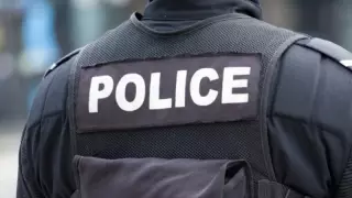 Похищенную из ночного клуба туристку 20 дней удерживали в собачьей клетке