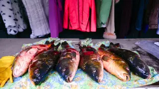 В Казахстане подорожала рыба