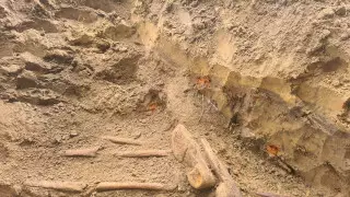 Останки без вести пропавшего казахстанского солдата нашли спустя 77 лет