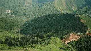 Токаев: Недопустимо, чтобы национальные парки и заповедники незаконно приватизировались