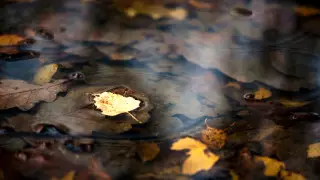 Ветер, гололед и грозы: погода на 3 дня в Казахстане